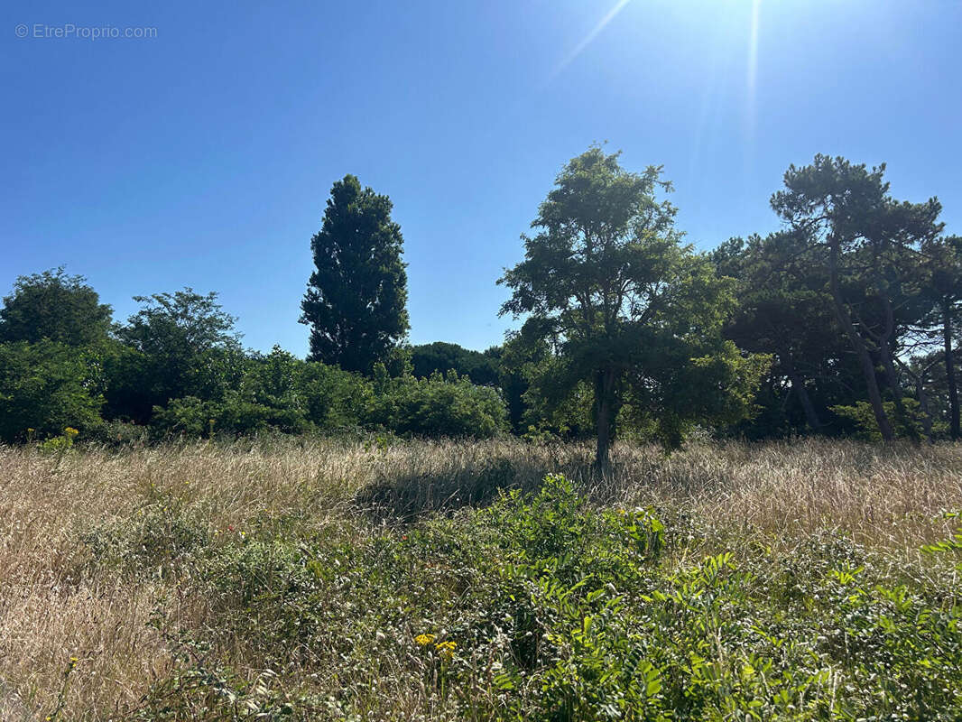 Terrain à L&#039;AIGUILLON-SUR-MER