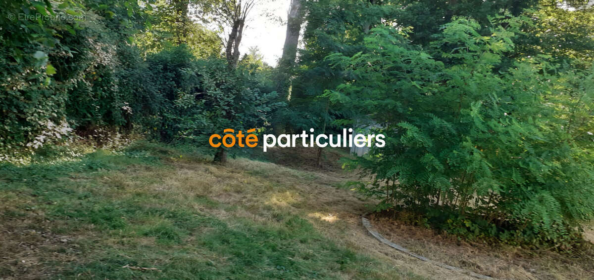 Maison à CHATEAU-RENARD