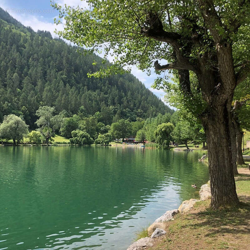 Commerce à LE LAUZET-UBAYE