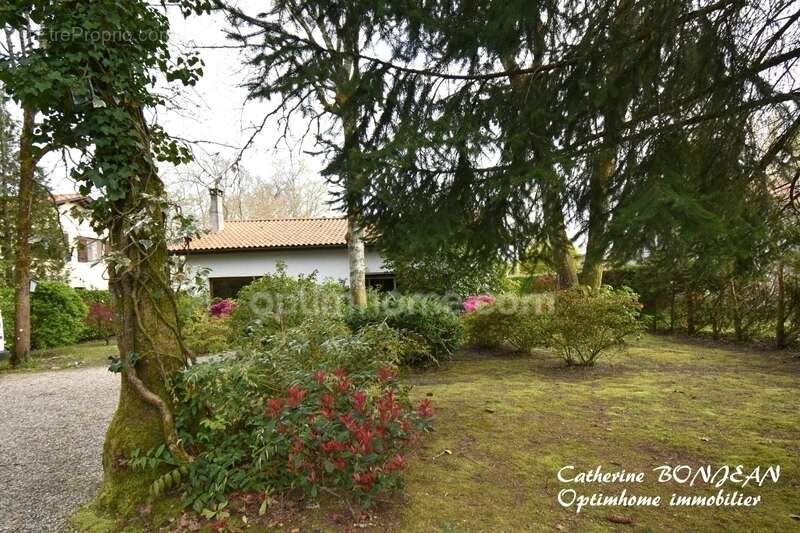Maison à SAINT-AUBIN-DE-MEDOC