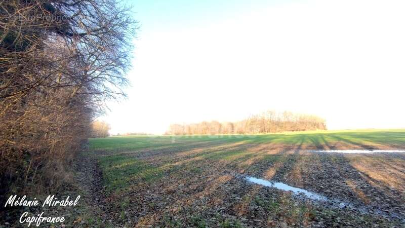 Terrain à SYLVAINS-LES-MOULINS