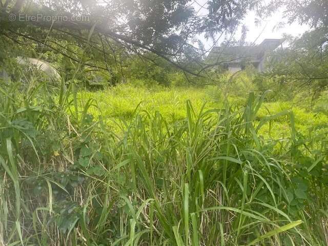 Terrain à RIVIERE-SALEE