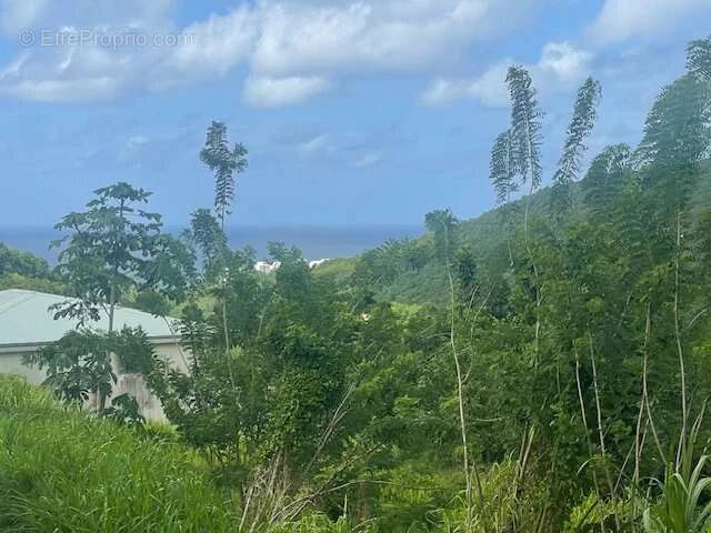 Terrain à RIVIERE-SALEE