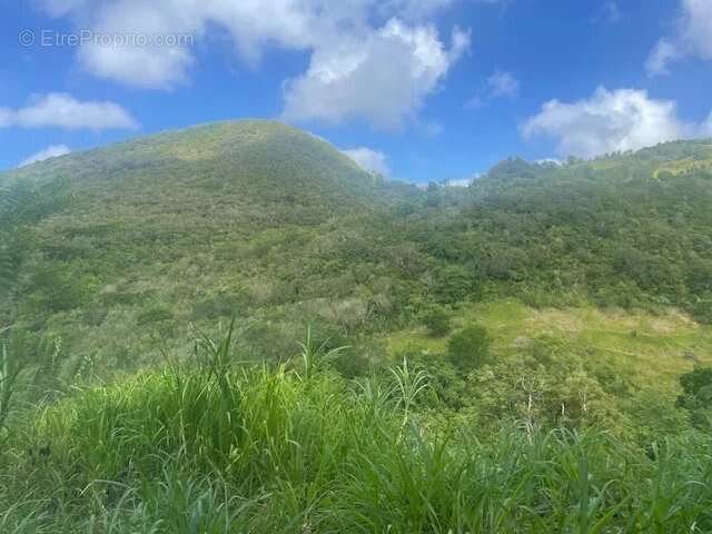 Terrain à RIVIERE-SALEE