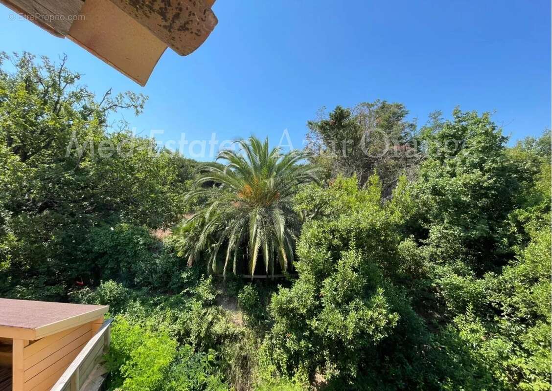 Maison à SAINT-TROPEZ