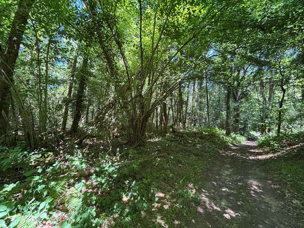 Maison à BUSSIERE-GALANT