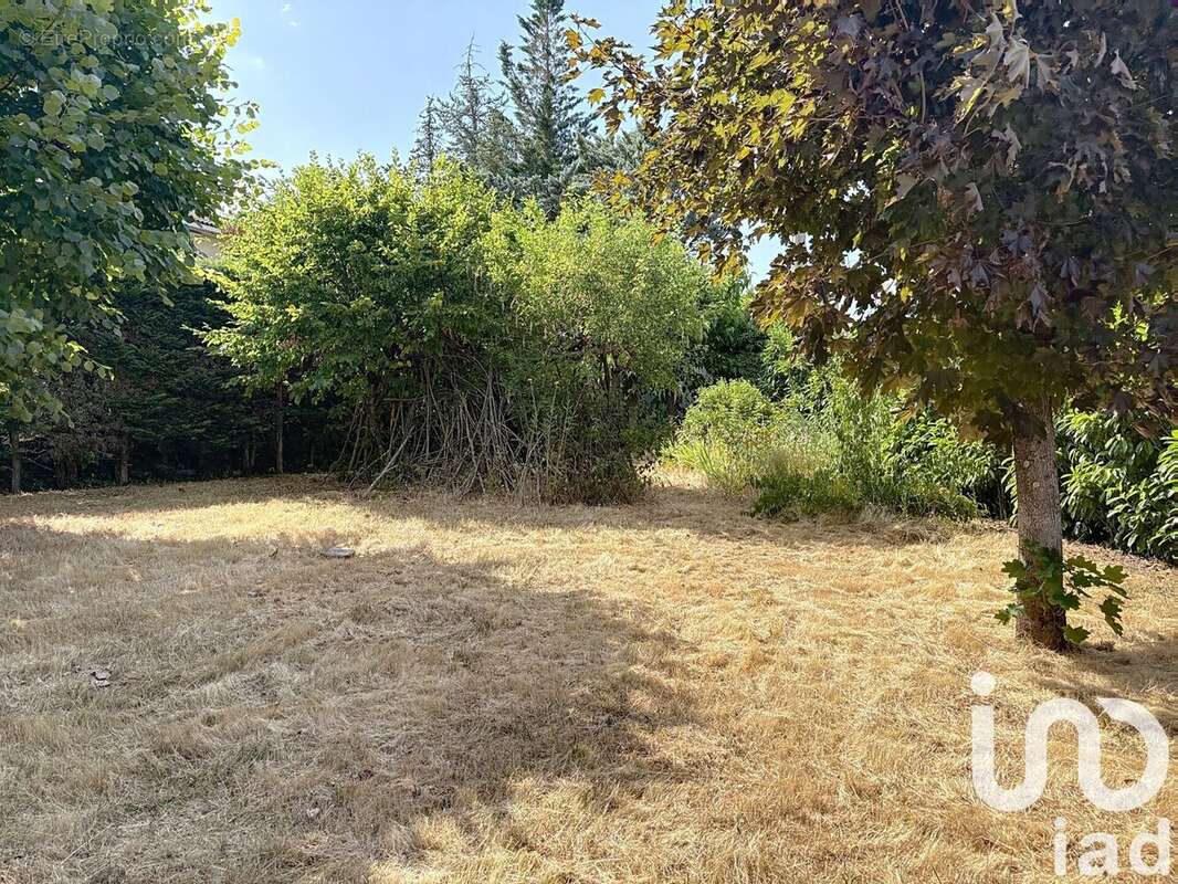 Photo 6 - Maison à MILLAU