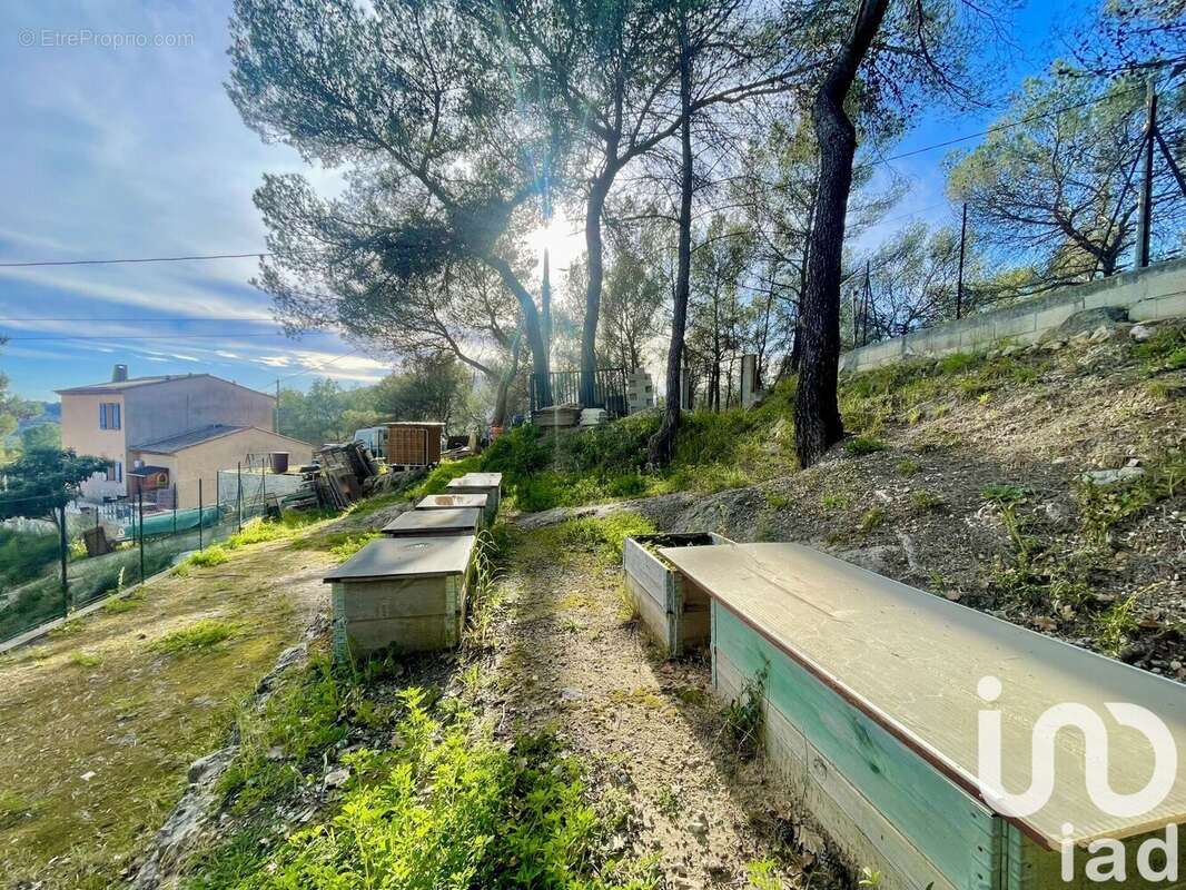 Photo 3 - Terrain à BLAUSASC