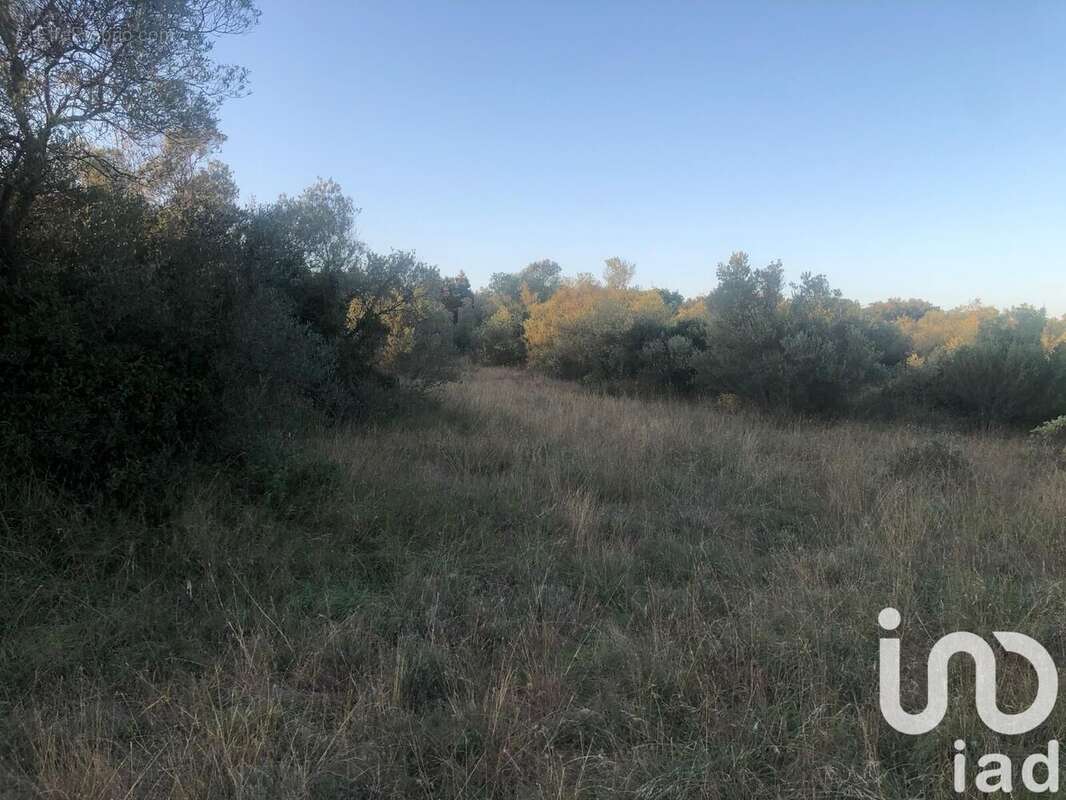Photo 5 - Terrain à LEDENON