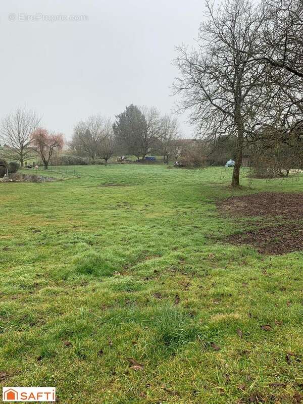 Photo 3 - Terrain à MASSIGNIEU-DE-RIVES