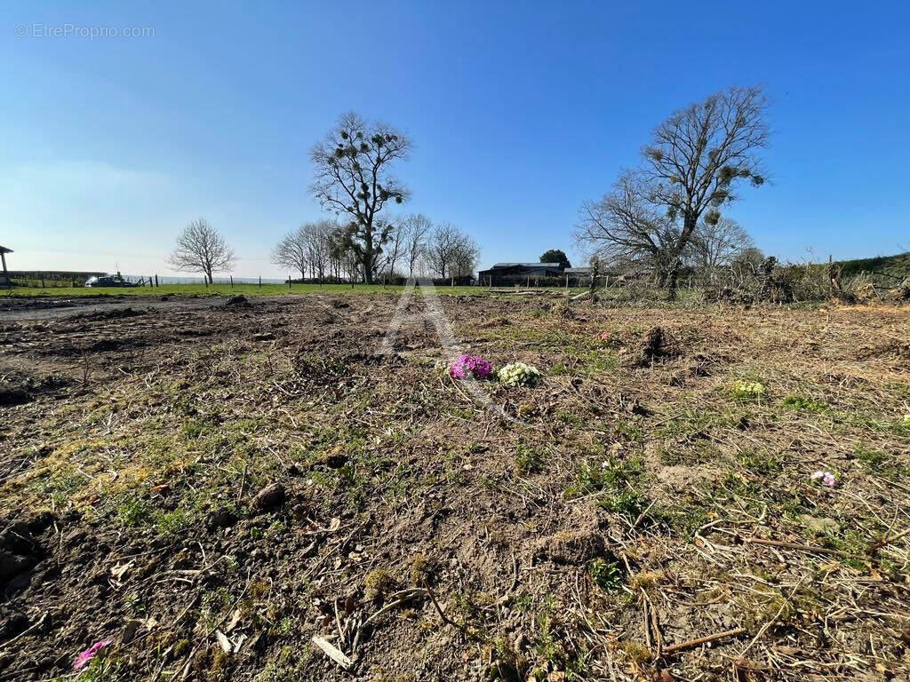 Terrain à ESTREES-LES-CRECY