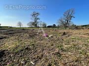 Terrain à ESTREES-LES-CRECY