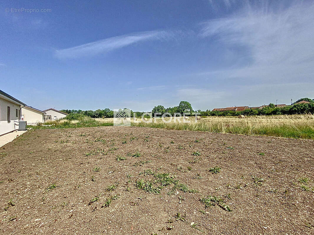 Maison à BULGNEVILLE