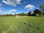 Terrain à SAINTE-OPPORTUNE