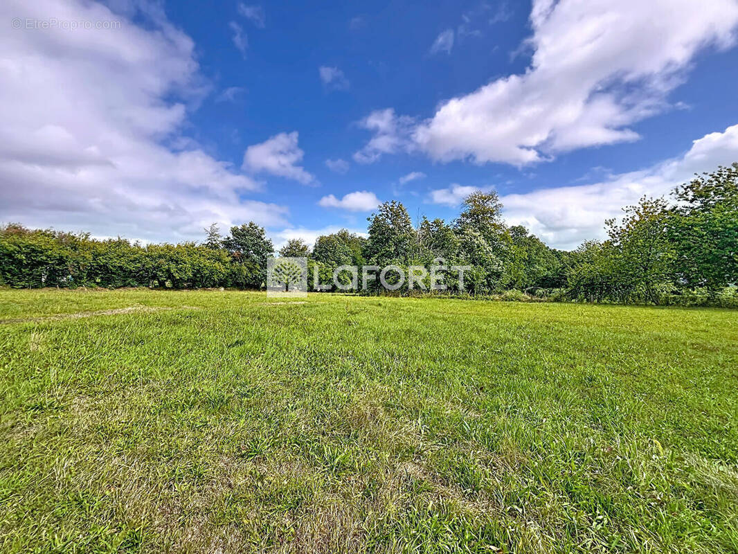 Terrain à SAINT-BOMER-LES-FORGES