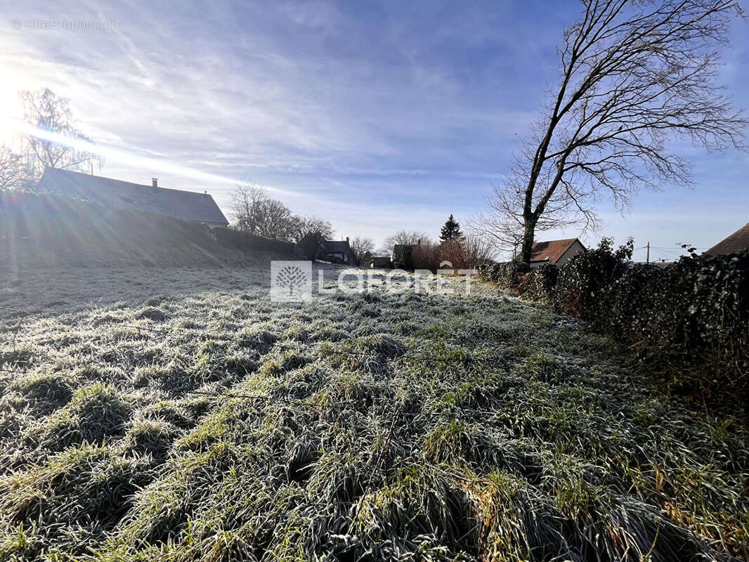 Terrain à ATHIS-DE-L&#039;ORNE