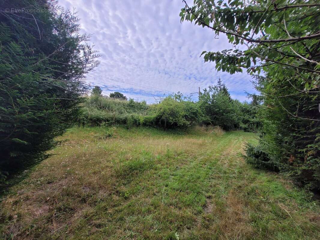 Terrain à BELLOU-SUR-HUISNE