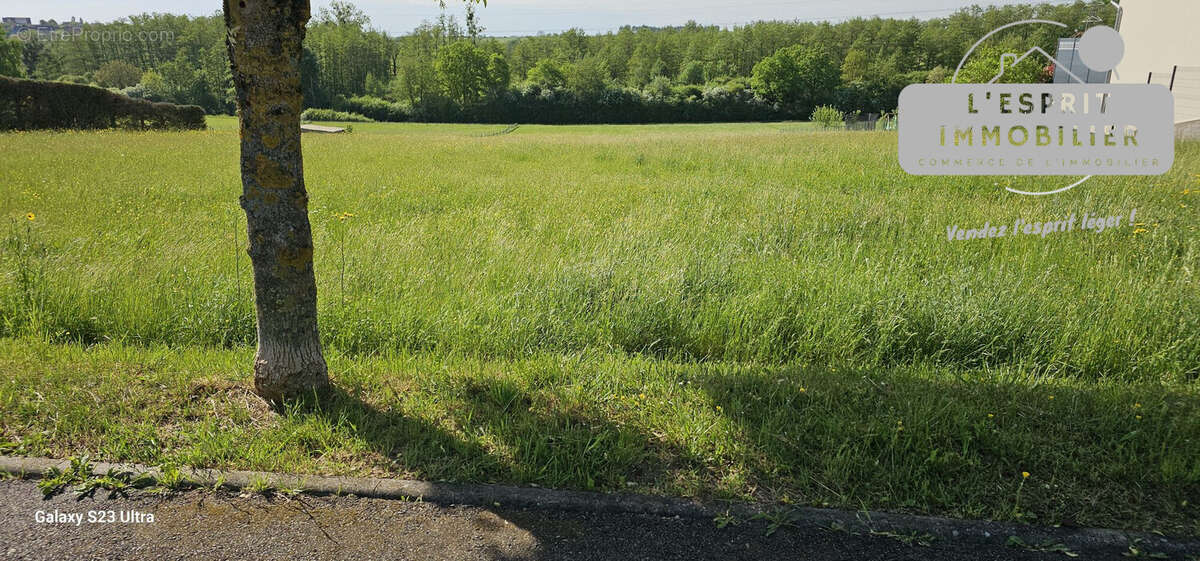 Terrain à NEUFGRANGE