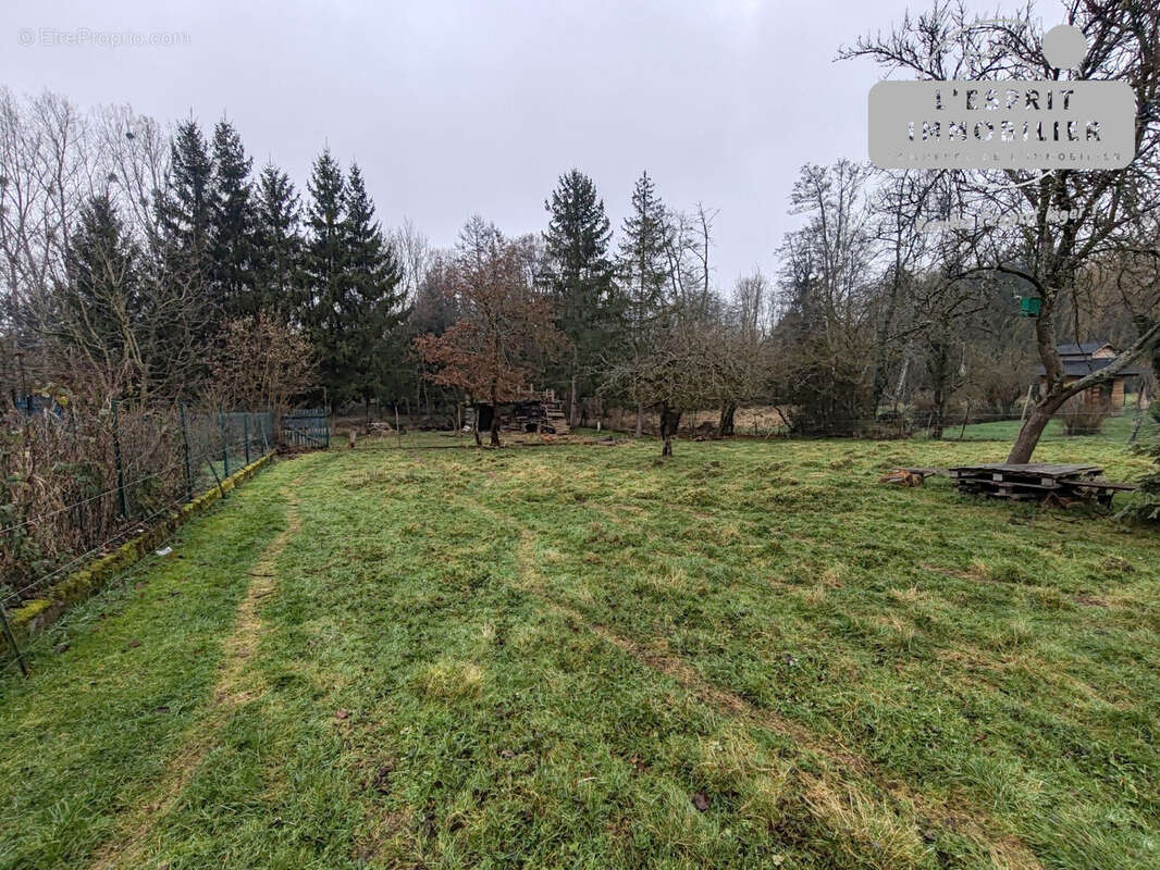 Terrain à NEUFGRANGE