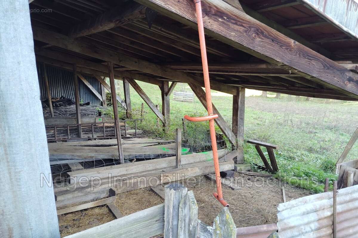 Maison à FERRIERES-SUR-SICHON