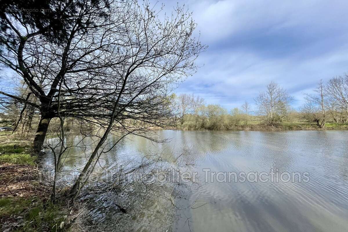 Terrain à LEZOUX