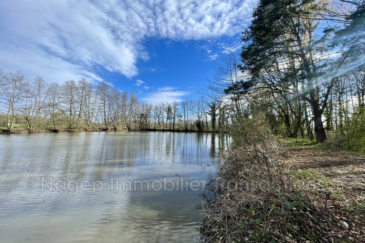 Terrain à LEZOUX