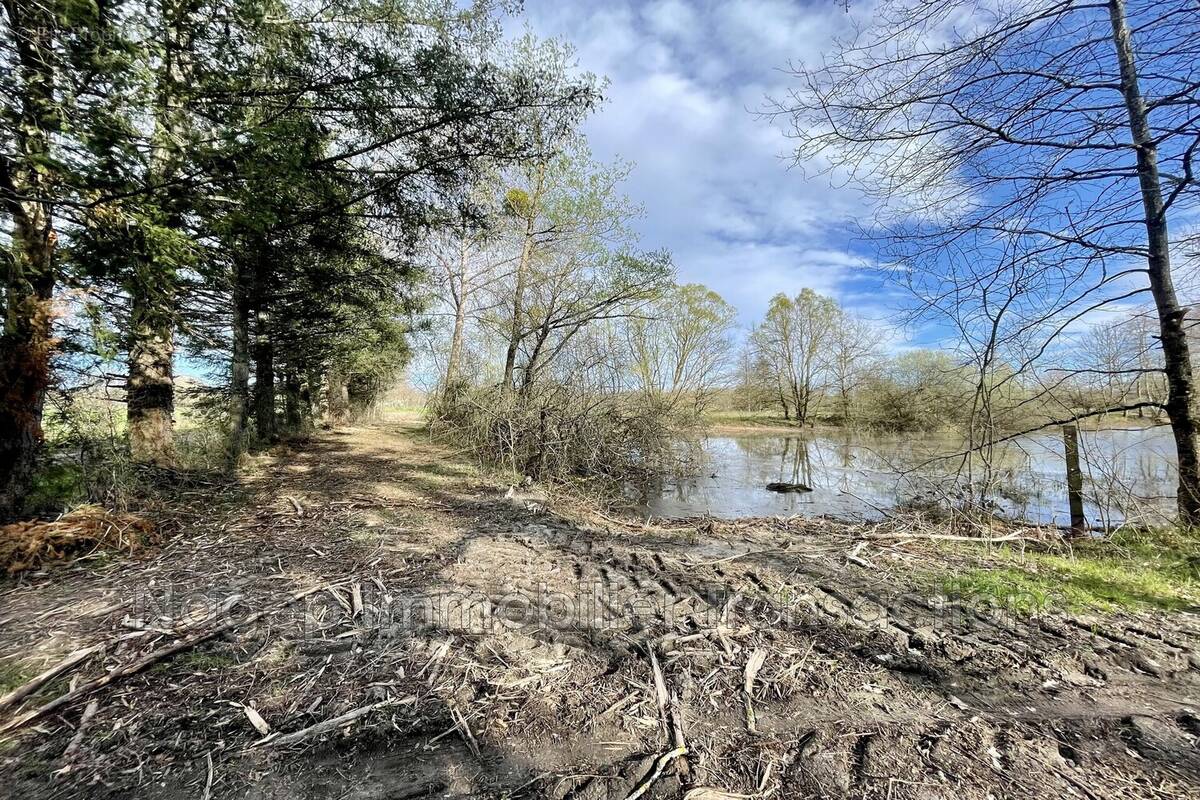 Terrain à LEZOUX
