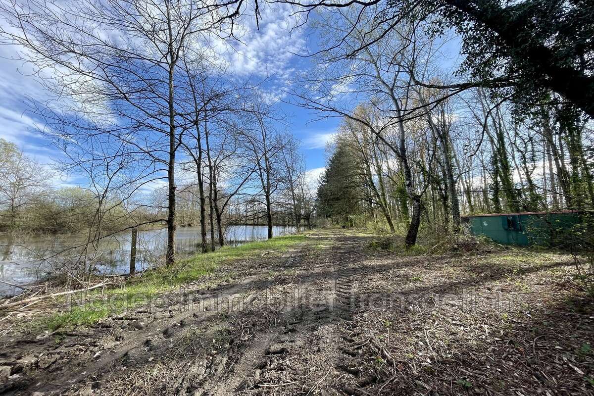 Terrain à LEZOUX
