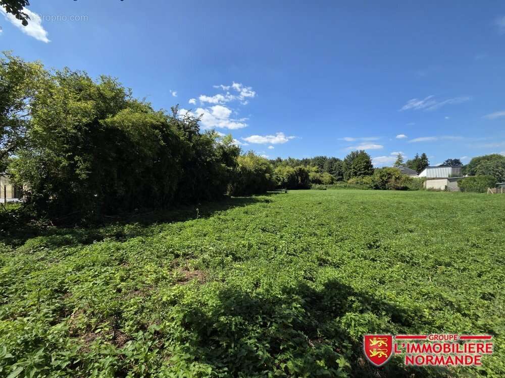 Terrain à CHARLEVAL