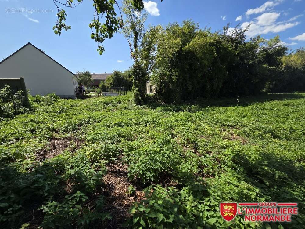 Terrain à CHARLEVAL