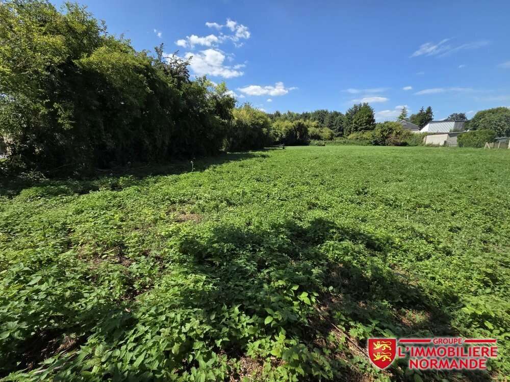 Terrain à CHARLEVAL
