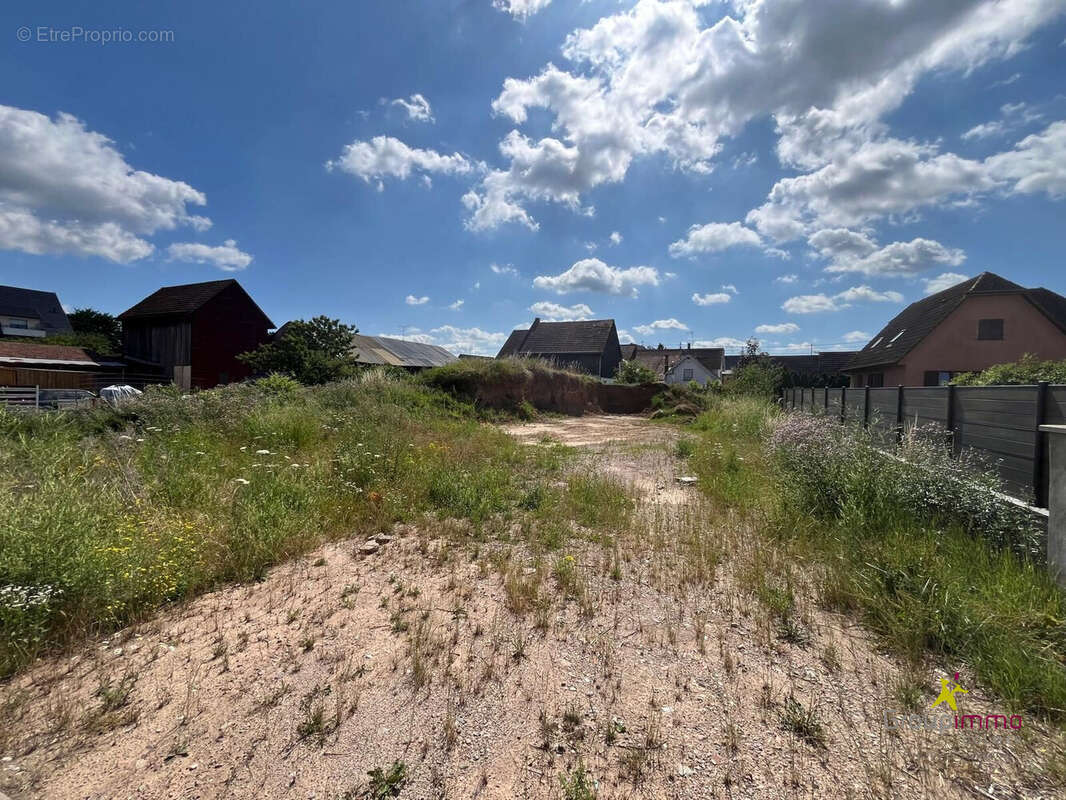 Terrain à EBERSHEIM