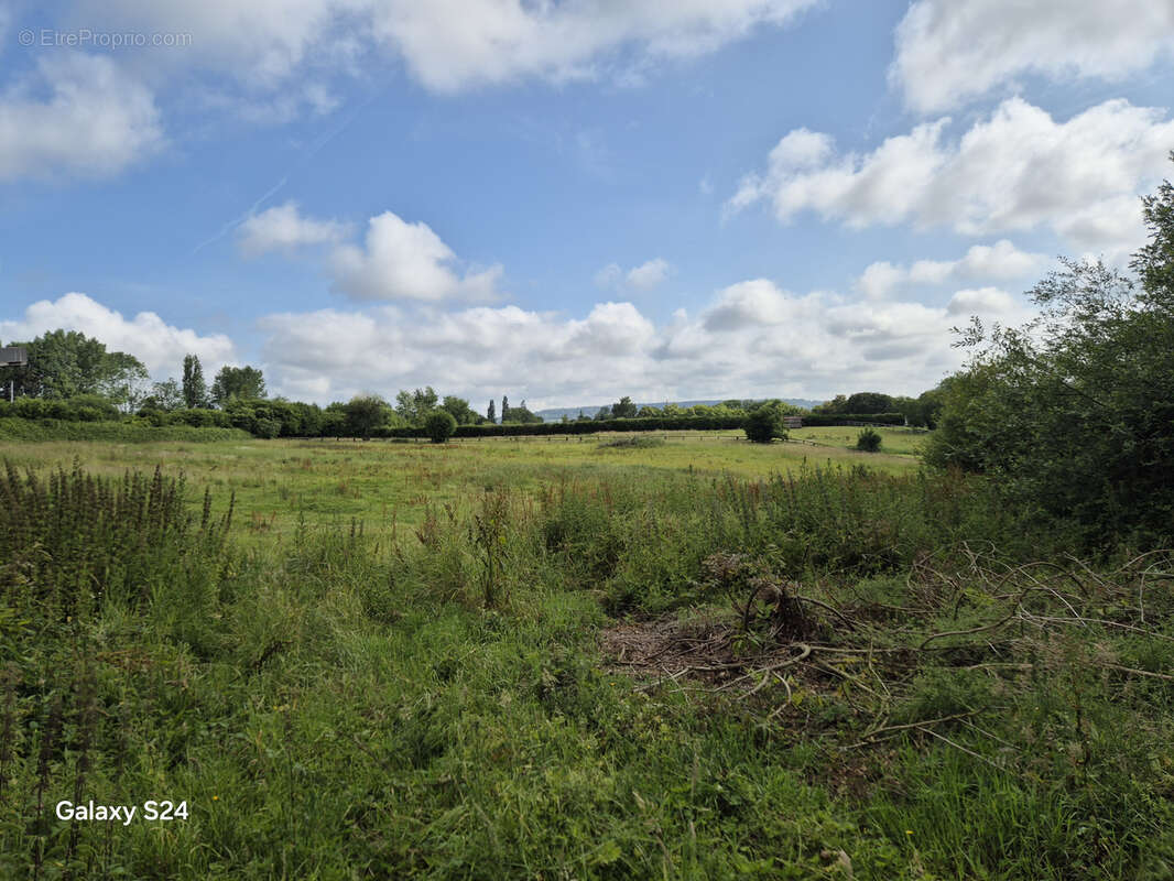 Commerce à PONT-L&#039;EVEQUE