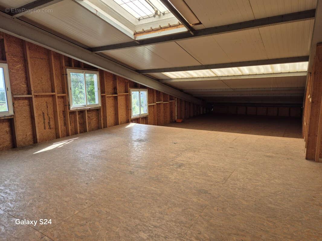 Commerce à PONT-L&#039;EVEQUE