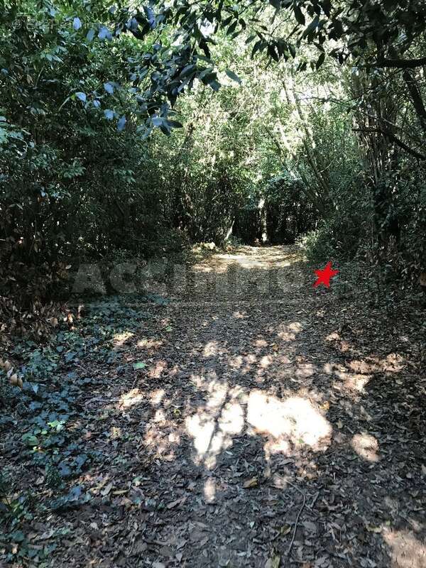 Maison à QUINT-FONSEGRIVES