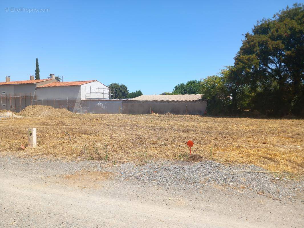 Terrain à SAINT-MEDARD-D&#039;AUNIS