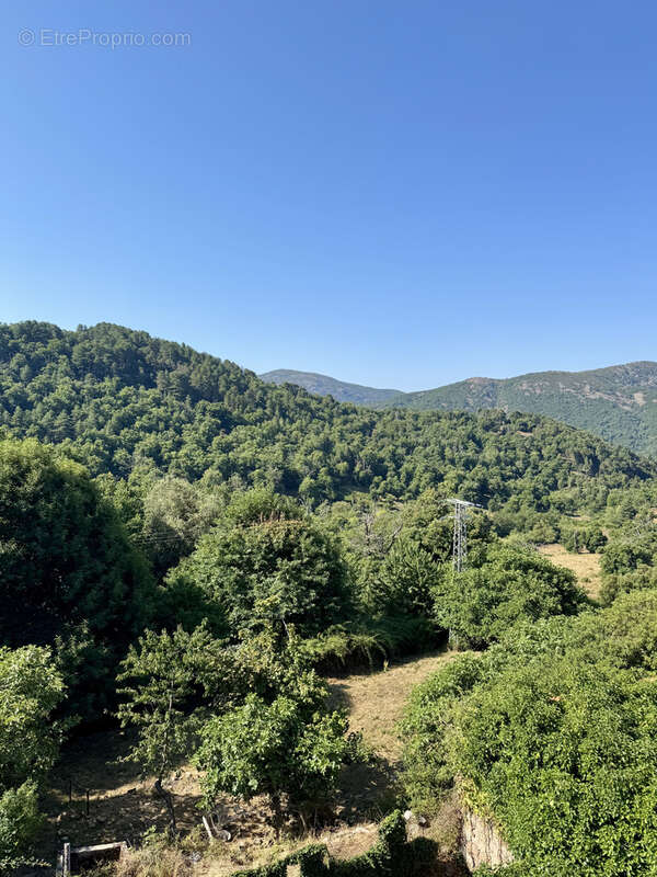 Appartement à EVISA