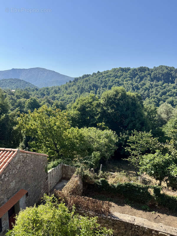 Appartement à EVISA