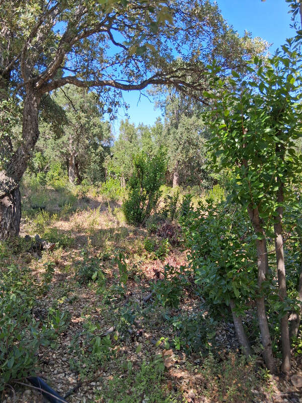 Terrain à SARI-SOLENZARA