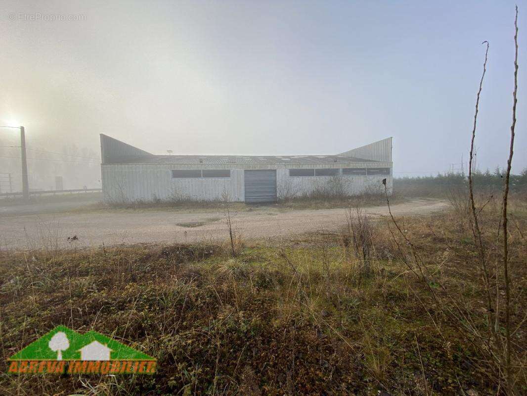 Commerce à LABARTHE-INARD