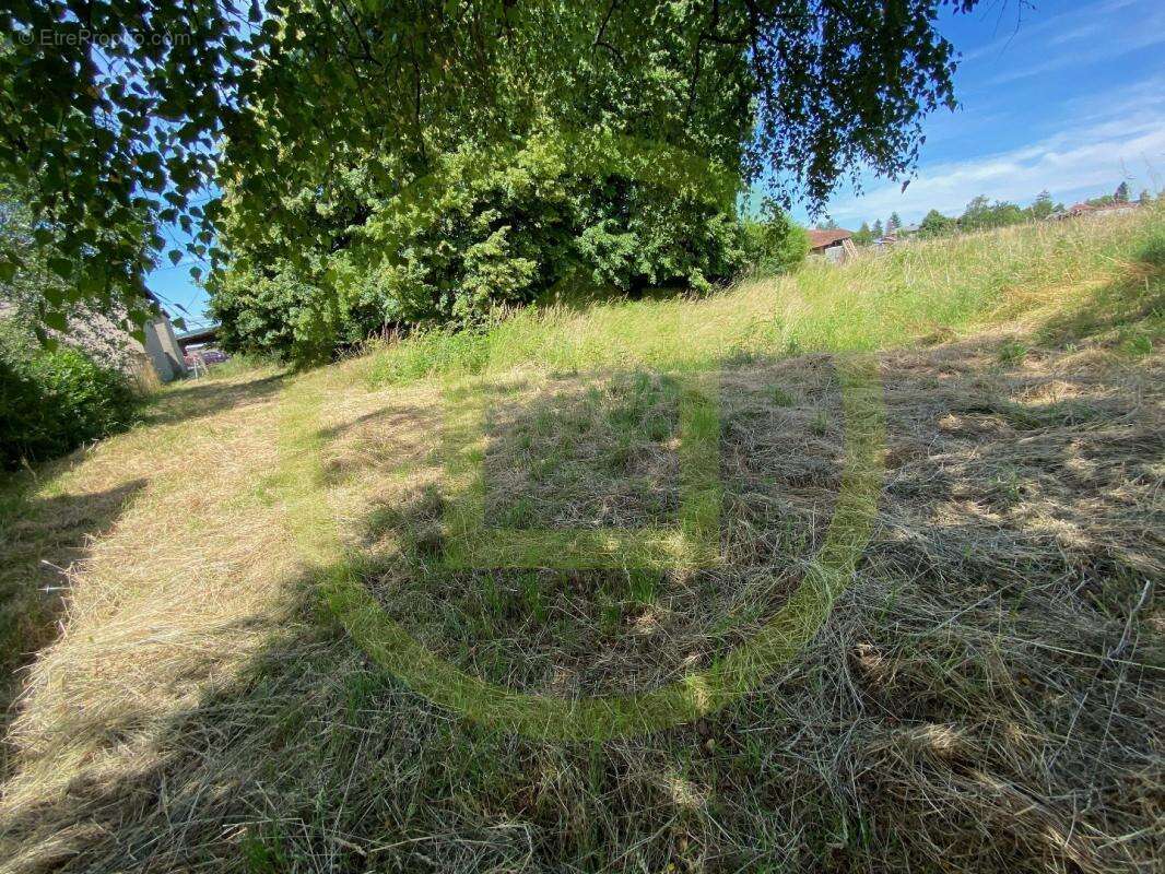 Terrain à LONGECHENAL