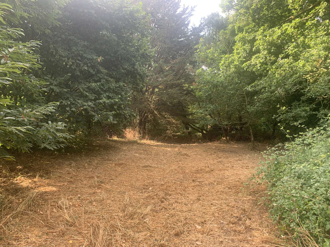 Terrain à SAINT-JULIEN-DES-LANDES
