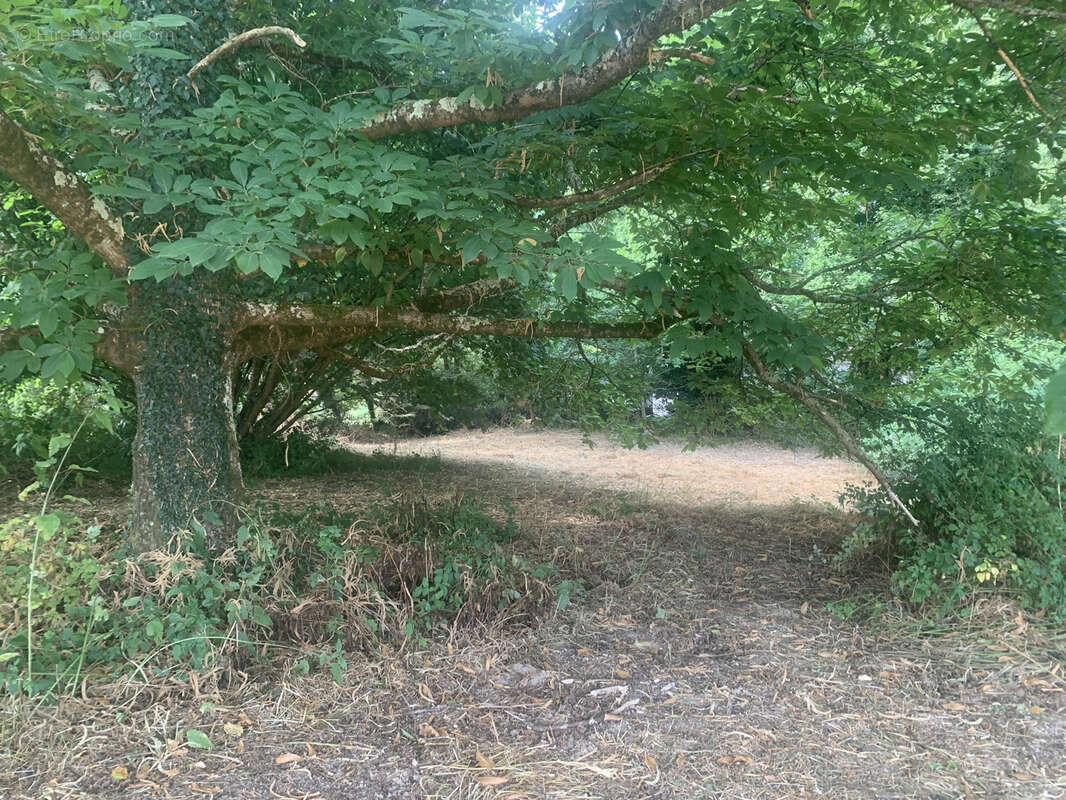Terrain à SAINT-JULIEN-DES-LANDES