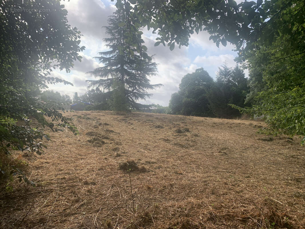 Terrain à SAINT-JULIEN-DES-LANDES