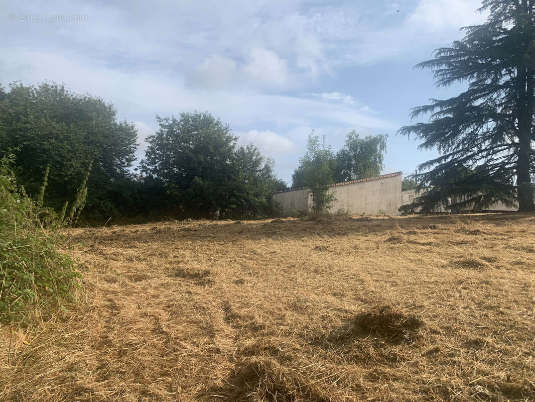 Terrain à SAINT-JULIEN-DES-LANDES
