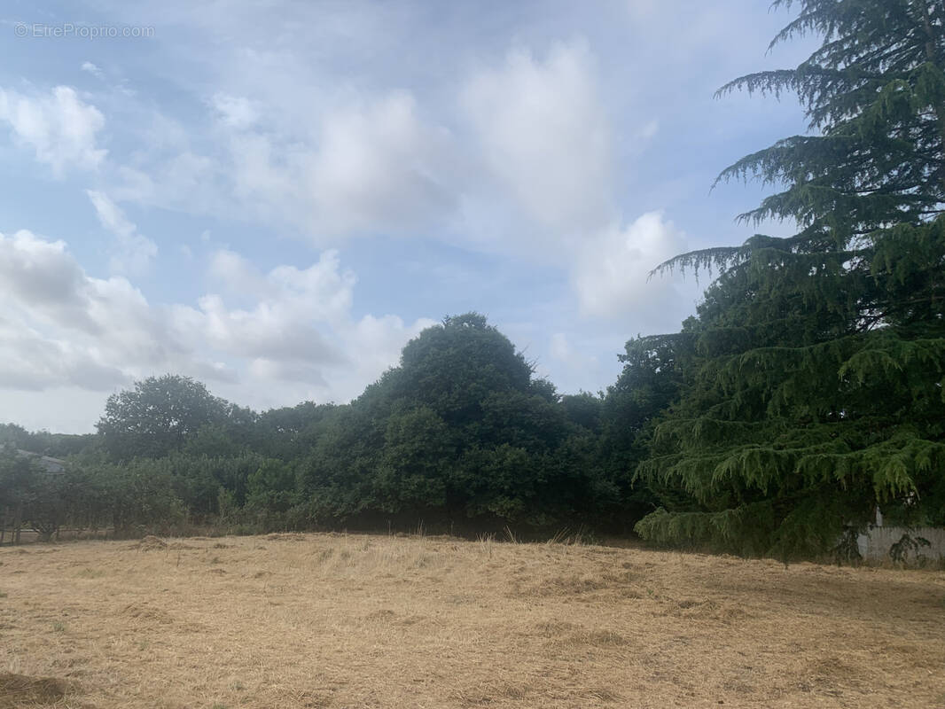 Terrain à SAINT-JULIEN-DES-LANDES