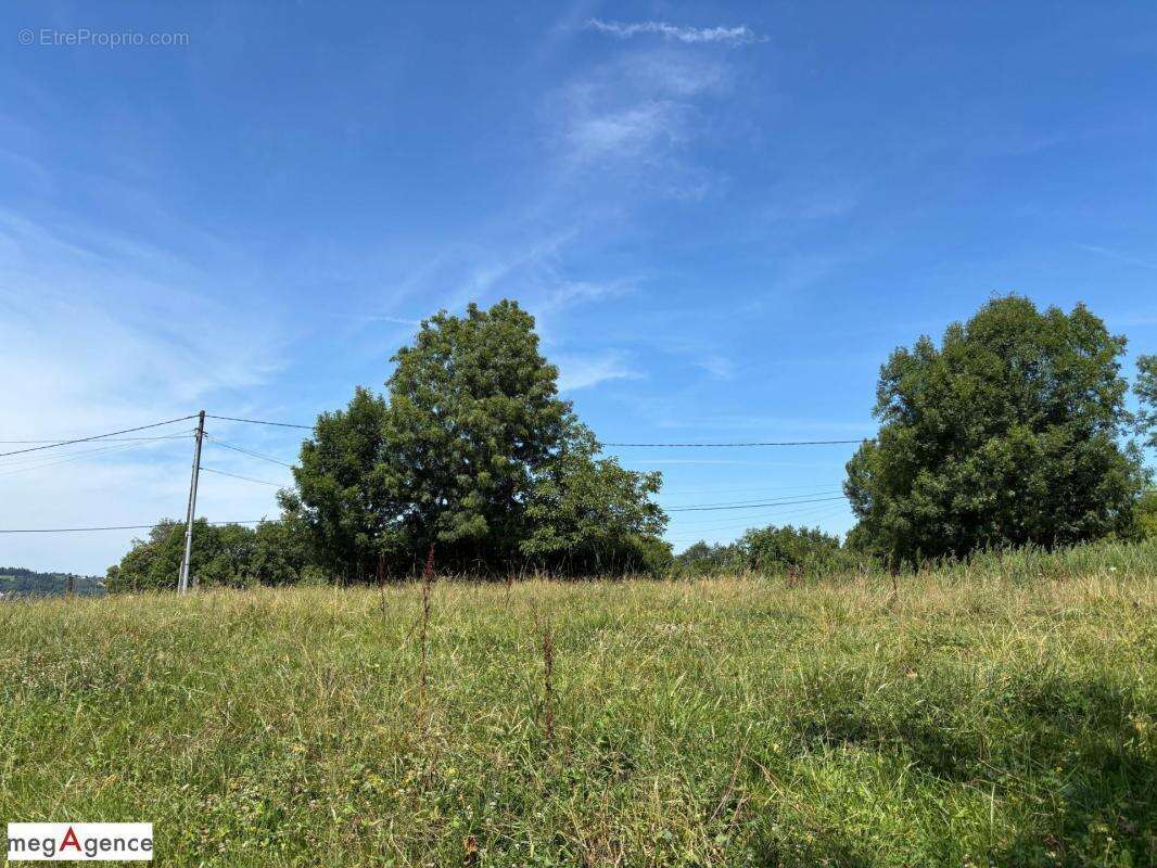 Terrain à SAINT-HILAIRE-PEYROUX