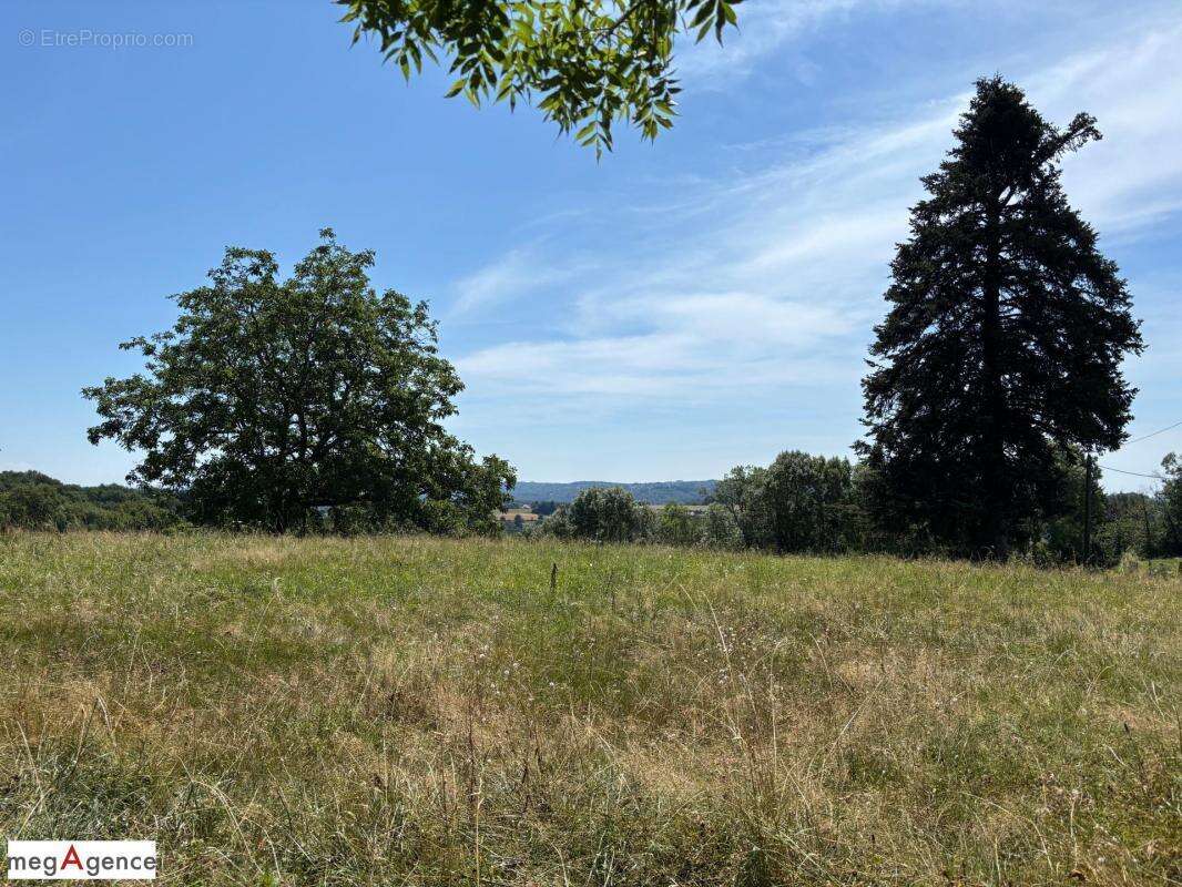 Terrain à SAINT-HILAIRE-PEYROUX