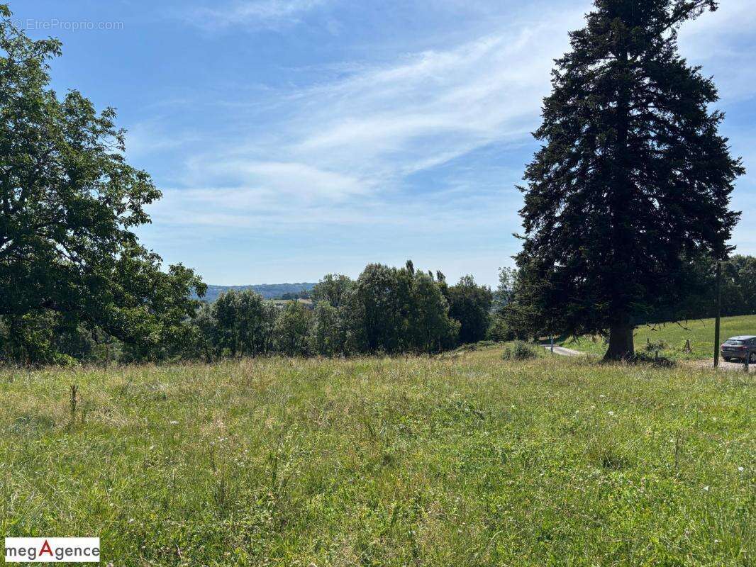 Terrain à SAINT-HILAIRE-PEYROUX