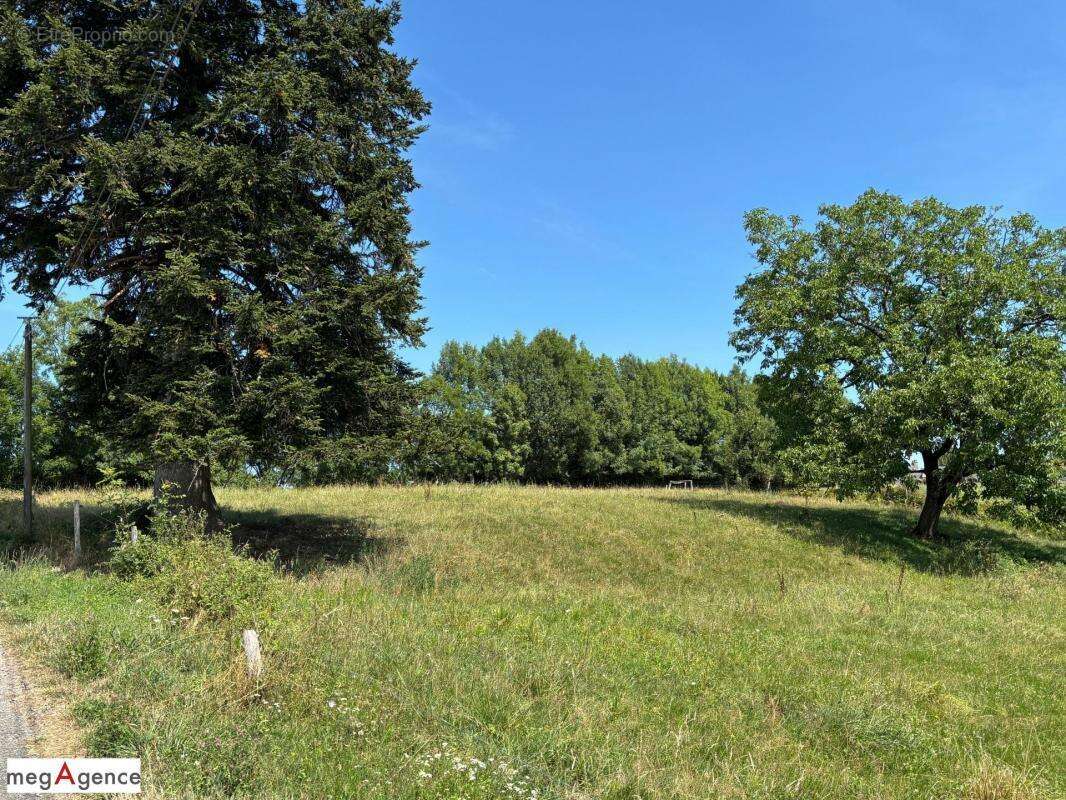 Terrain à SAINT-HILAIRE-PEYROUX